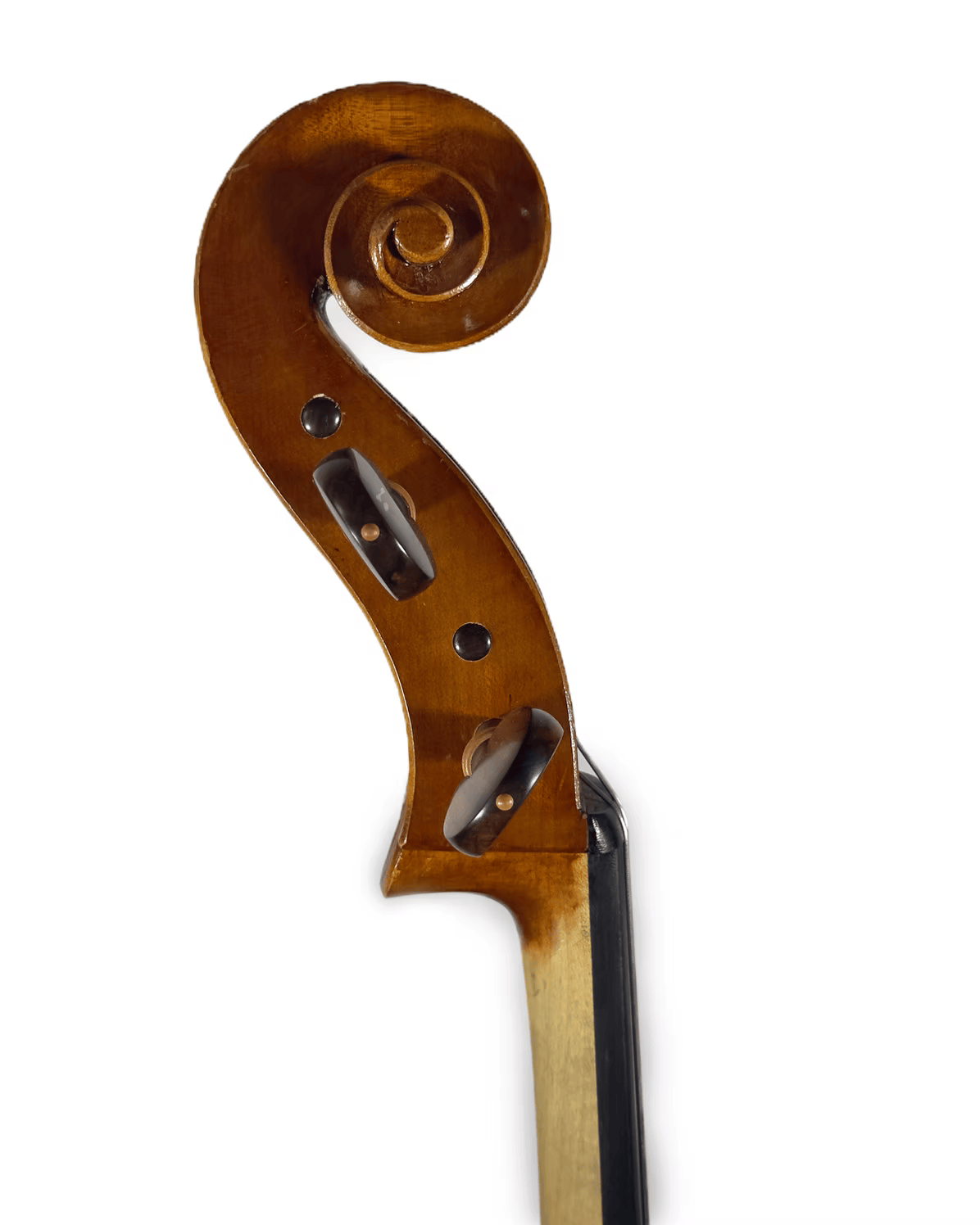 Violoncelo modelo Montagnana envernizado no ateliê de Luteria Fagundes em 2021